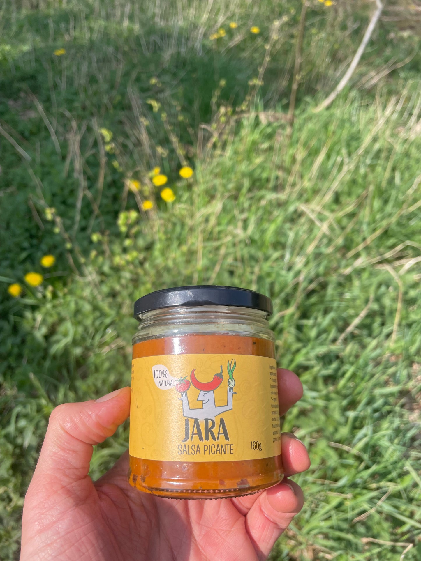 Salsa Picante